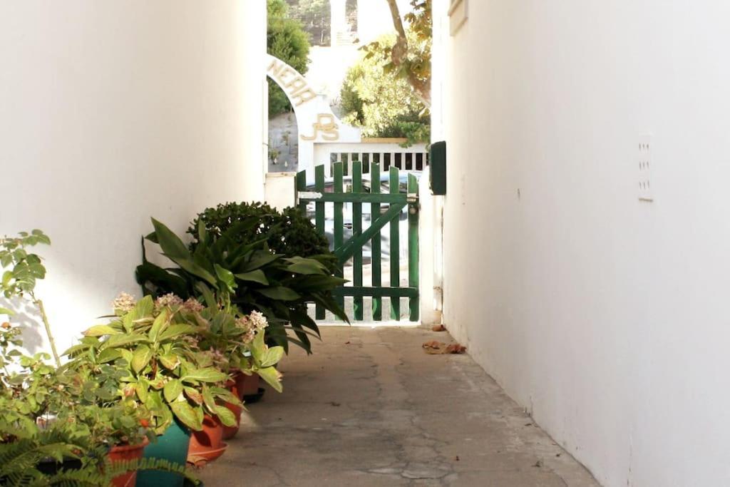 The Green Gate Patio House Nazaré Exterior photo